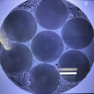 L'esagono di fibra ottica dei prodotti 6 di ricerca scientifica del multi centro ha sistemato