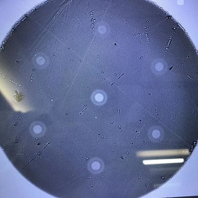 L'esagono di fibra ottica dei prodotti 6 di ricerca scientifica del multi centro ha sistemato